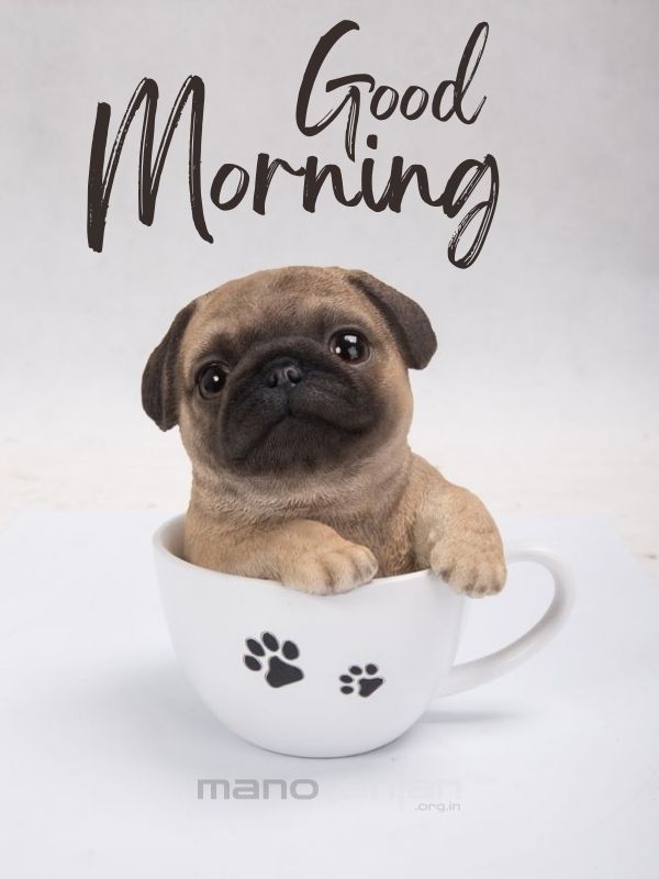 Good Morning messages image with cute puppy