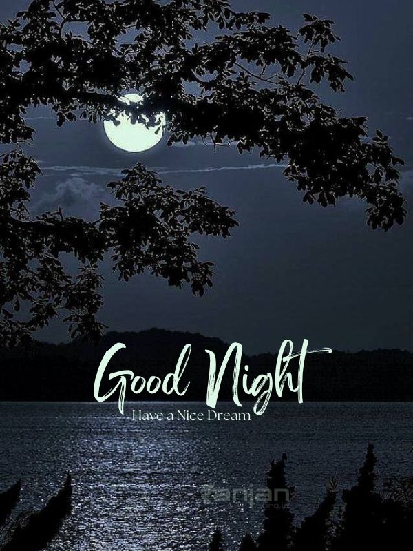 Moon Night good night message and Images