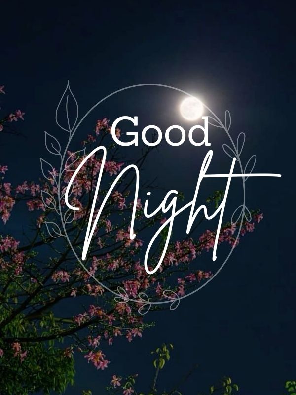Cool Moon Night good night message and Images