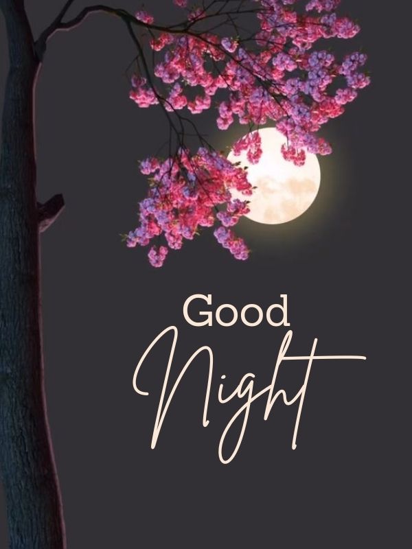 Top good night message and Images with moon night